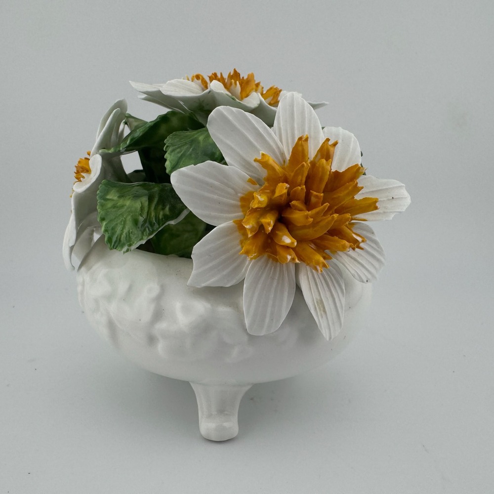 Radnor‎ Bone China Floral Figurine White Staffordshire Daisy England